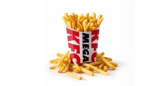 MEGA CHIPS